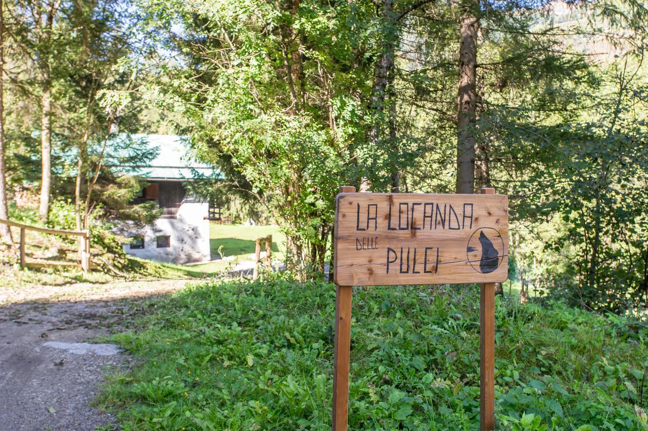 B/B La Locanda Delle Pulci メッツァーナ エクステリア 写真